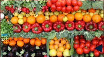 أسعار الخضروات والفاكهة اليوم الأربعاء: الكوسة 5 جنيه والثوم يرتفع إلى 30 جنيهًا